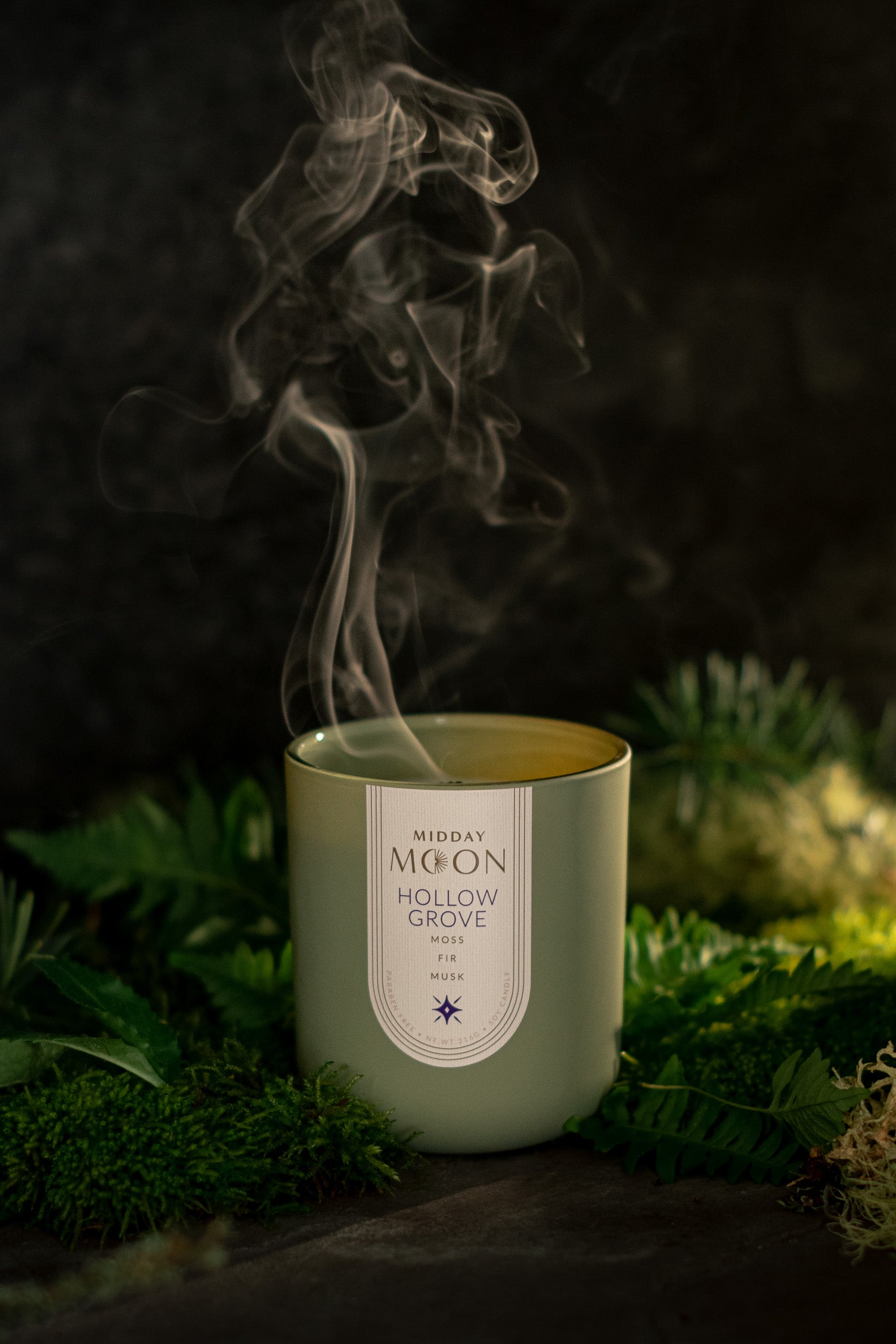 Candle with smoke rising from it, placed on a natural background
