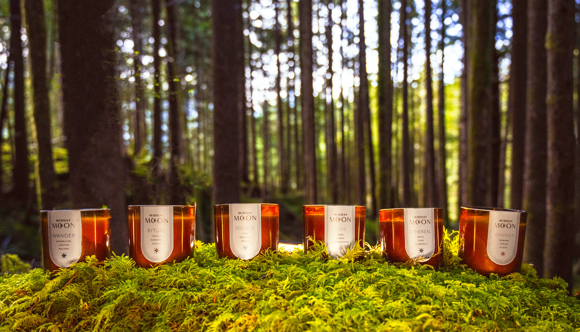 6 midday moon candles on a bed of moss set on a forest background. Amber candle jars.