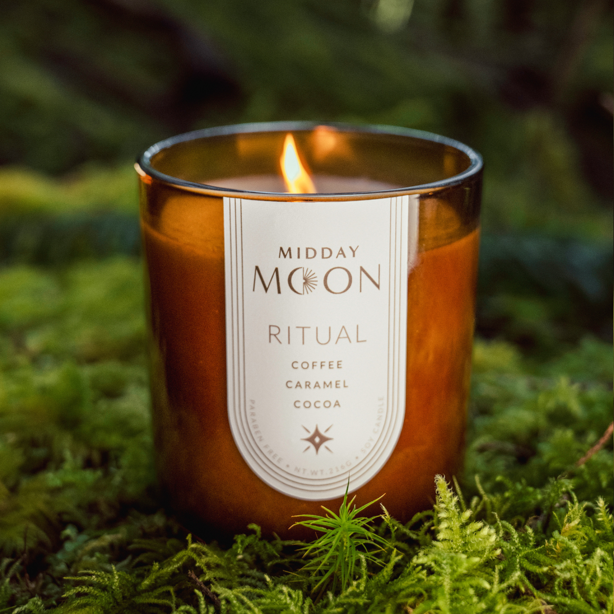 Coffee scented candle on a lush forest backdrop. Midday moon ritual candle.