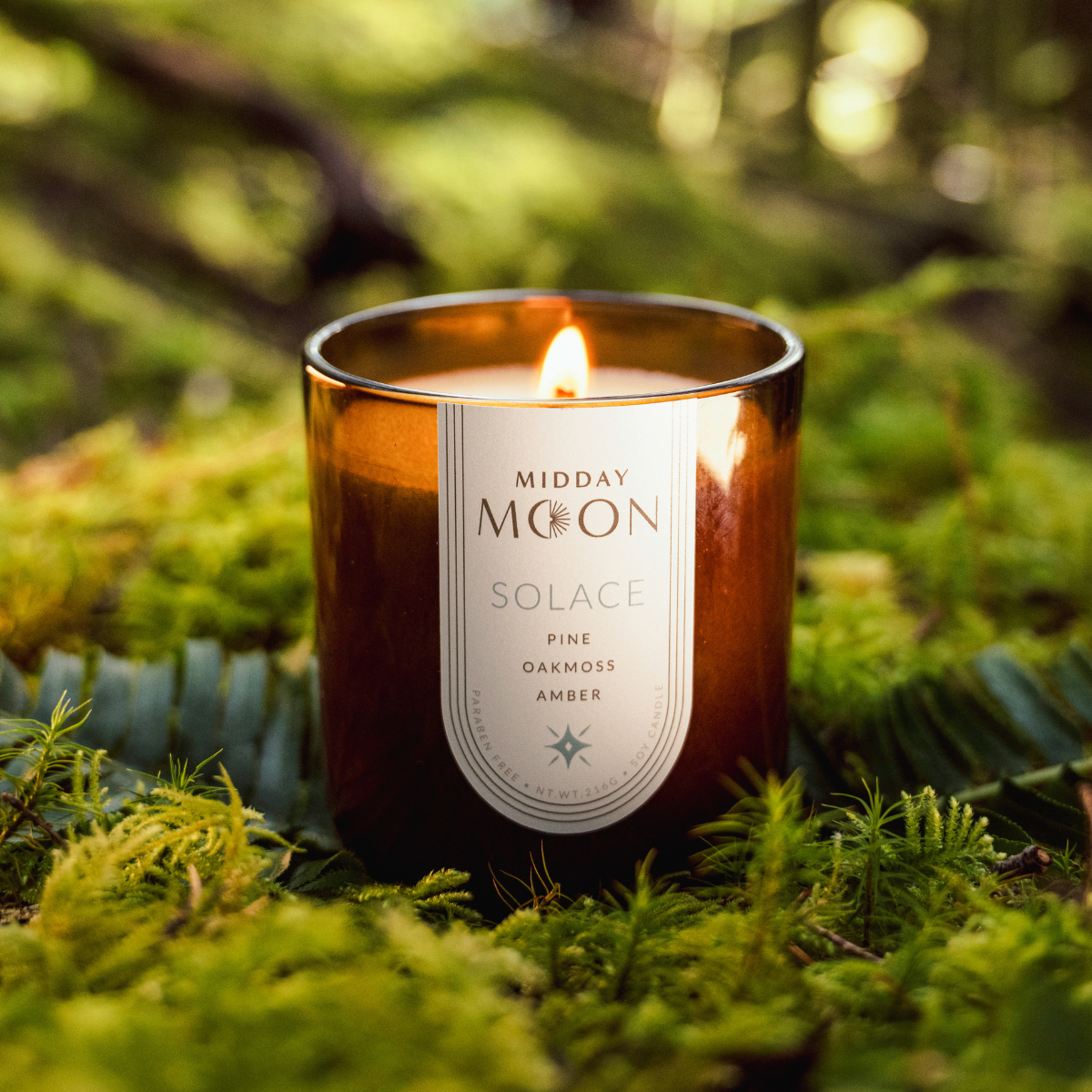 Solace scented candle on a lush green forest backdrop. Pine, oakmoss, and amber scented candle.