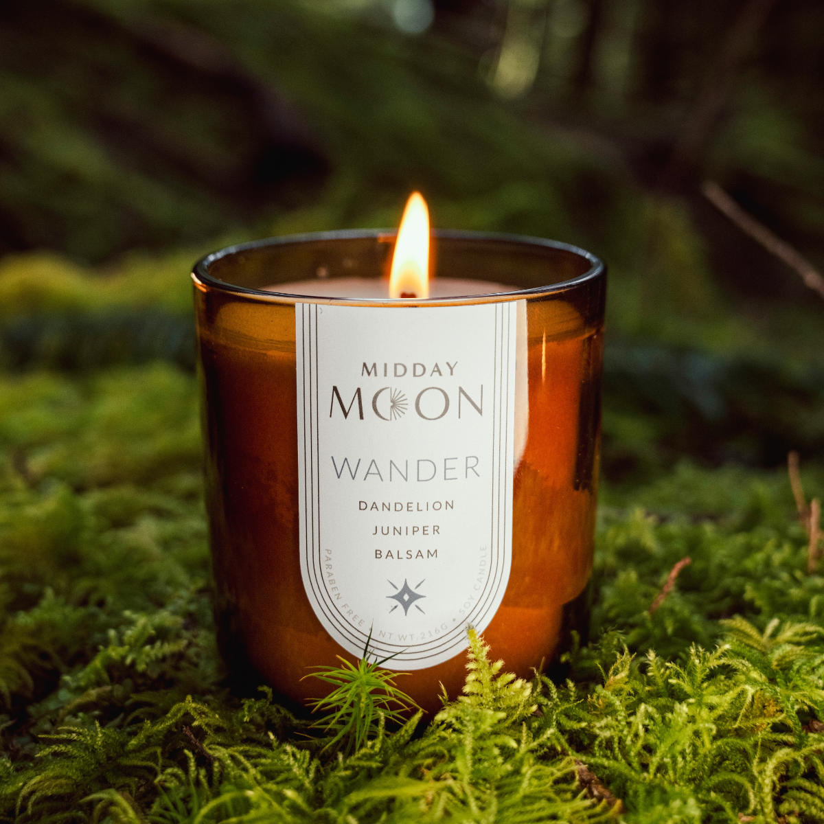 Scented soy candle on a lush forest backdrop. Dandelion, juniper, and balsam scented candle.